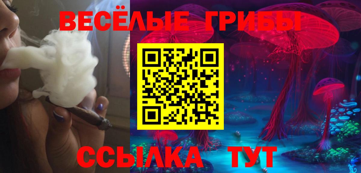 Галлюциногенные грибы ЛСД Егорьевск