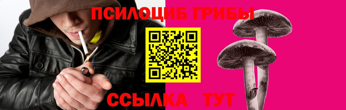 Егорьевск  Псилоцибиновые грибы MAGIC MUSHROOMS  Псилоцибиновые грибы мухоморы  Вход с VPN 